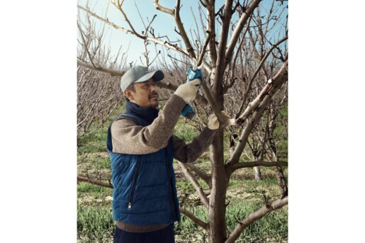 Акумуляторні садові ножиці Bosch Pro Pruner Professional, без акб (06019K1020) фото 5