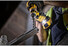 Фото #5 Набір свердел по металу DeWALT DT70755