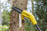 Фото #2 Висоторіз акумуляторний зі штангою STANLEY FATMAX SFMCPS620M1