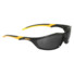 Фото #1 Окуляри DeWALT DPG96-2D