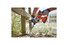 Фото #2 Перфоратор акумуляторний BLACK+DECKER BCD900B