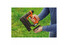 Фото #5 Степлер акумуляторний BLACK+DECKER BDCT12N