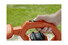 Фото #3 Садовий пилосос - повітродувка BLACK+DECKER BEBLV260