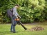 Фото #4 Садовий пилосос електричний BLACK+DECKER BEBLV300