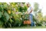 Фото #3 Тример Bosch EasyGrassCut 26 (06008C1J01)