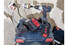 Фото #5 Акумуляторний дриль-шуруповерт Bosch GSR 18V-110 C (каркас, L-Boxx) (06019G0109)