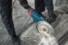 Фото #4 Кутова шліфмашина Bosch GWS 24-230 JZ Professional (06018C3300)