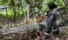 Фото #3 Пила ланцюгова акумуляторна безщіткова DeWALT DCMCS574X1