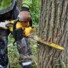Фото #4 Пила ланцюгова акумуляторна безщіткова DeWALT DCMCS574X1