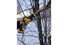Фото #5 Пила шабельна акумуляторна безщіткова DeWALT DCS312N