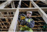 Фото #5 Пила шабельна акумуляторна безщіткова DeWALT DCS369N
